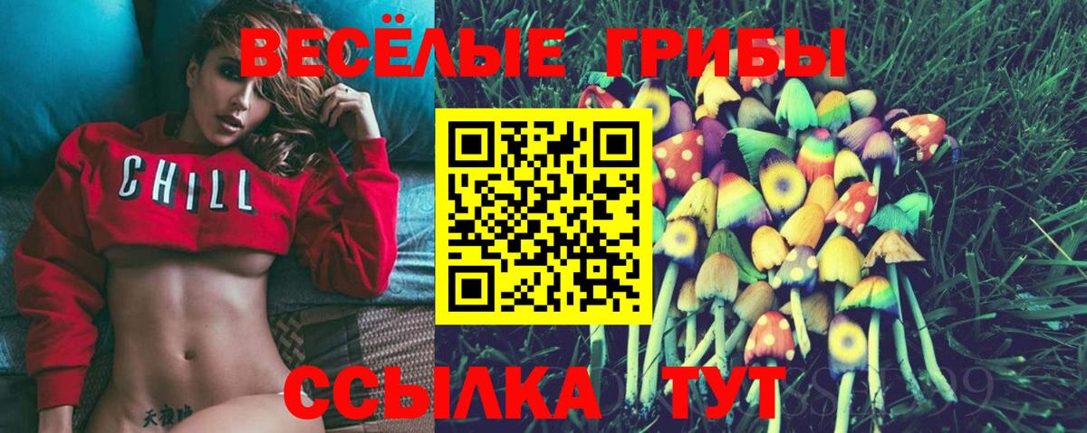 Псилоцибиновые грибы Psilocybe Междуреченск