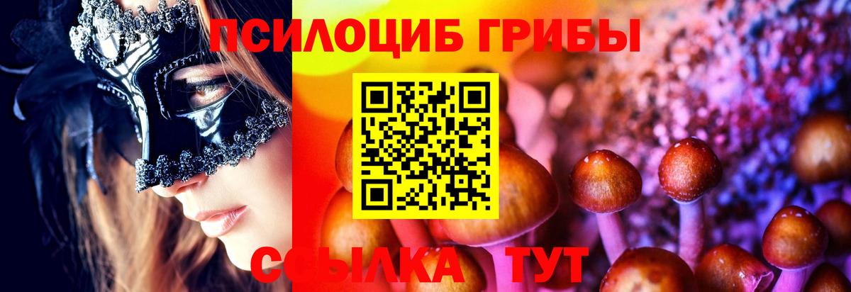 Галлюциногенные грибы Magic Shrooms  Вход с VPN  дарнет шоп  Междуреченск 